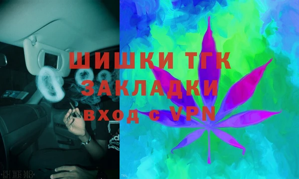 ГАЛЛЮЦИНОГЕННЫЕ ГРИБЫ Балахна