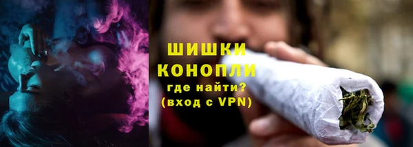 СК Сосновый Бор