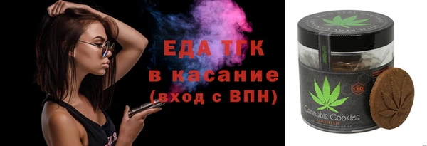 СК Сосновый Бор