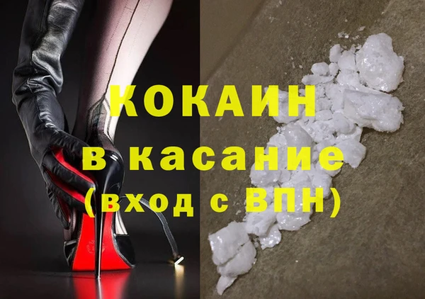 СК Сосновый Бор