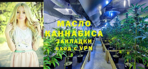 СК Сосновый Бор