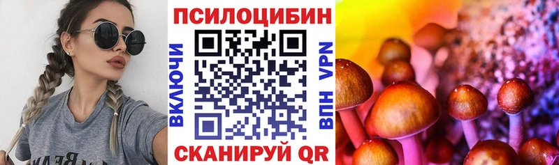 Галлюциногенные грибы прущие грибы  Белозерск 